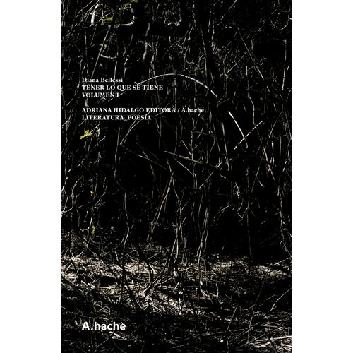 TENER LO QUE SE TIENE- VOL.1 - ED. AUMENTADA - DIANA BELLESI