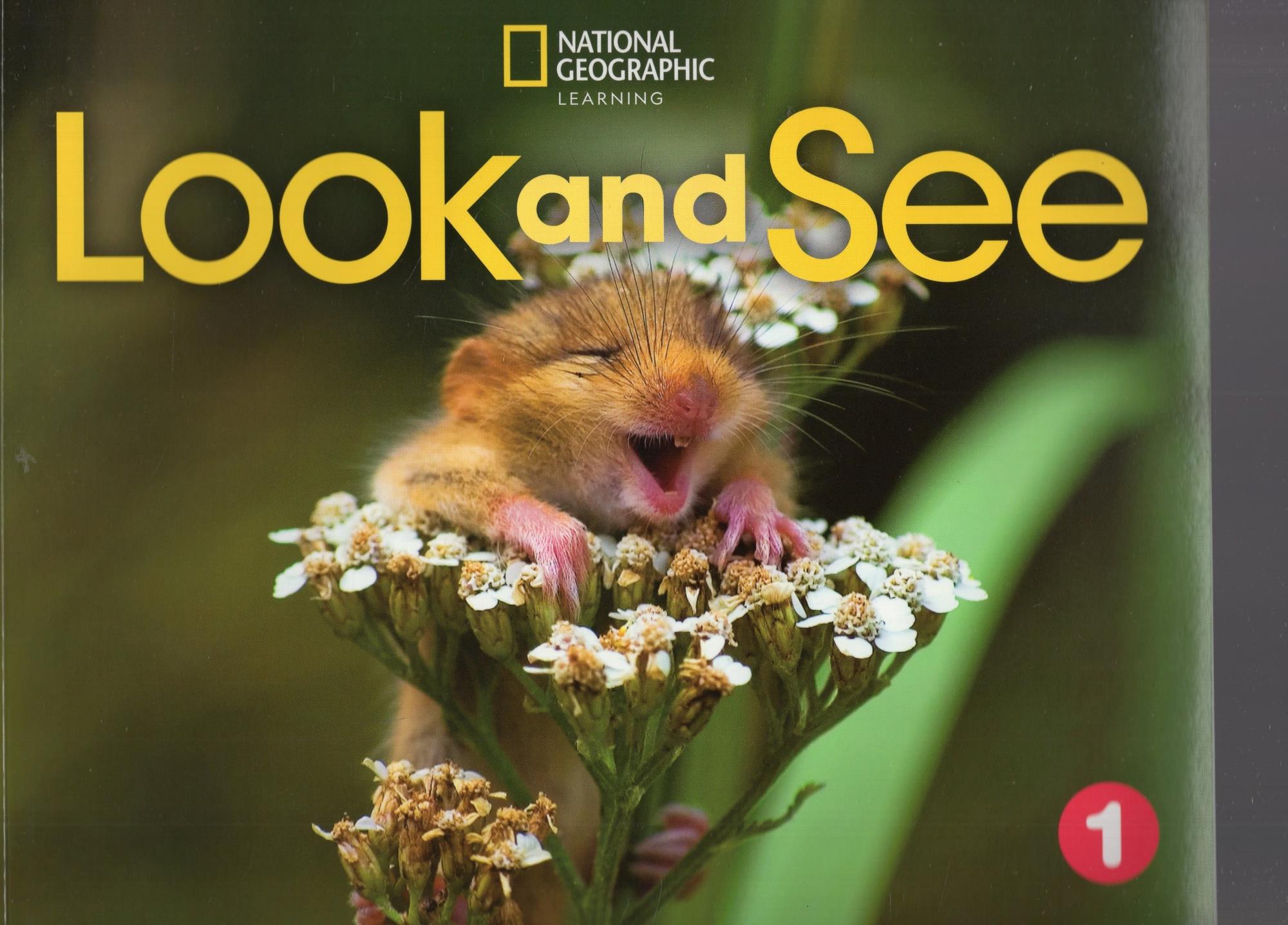 LOOK AND SEE 1 - STUDENT'S BOOK + ONLINE PRACTICE