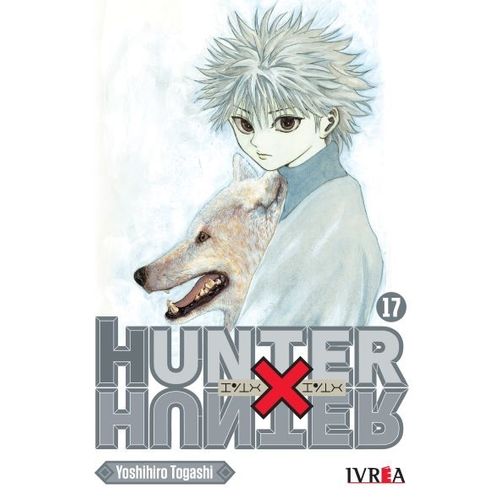 HUNTER X HUNTER 17 - YOSHIHIRO TOGASHI