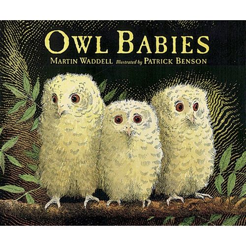 OWL BABIES - BIG BOOK - MARTIN WADDELL - PATRICK BENSON