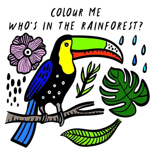 COLOUR ME - WHO'S IN THE RAINFOREST?
