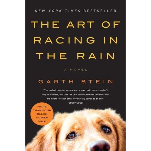 THE ART OF RACING IN THE RAIN - GARTH STEIN