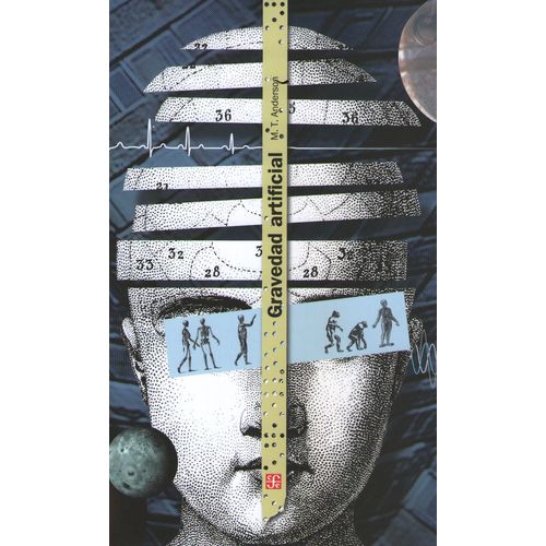GRAVEDAD ARTIFICIAL - MATTH ANDERSON