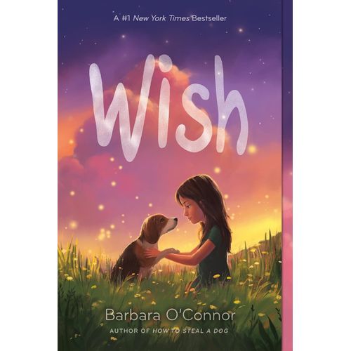 WISH - BARBARA O'CONNOR