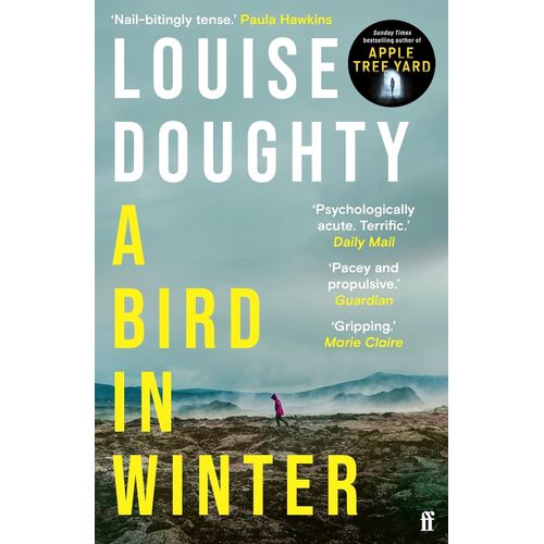 A BIRD IN THE WINTER - LOUISE DOUGHTY