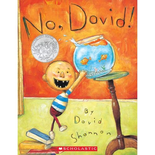 NO, DAVID! - DAVID SHANNON