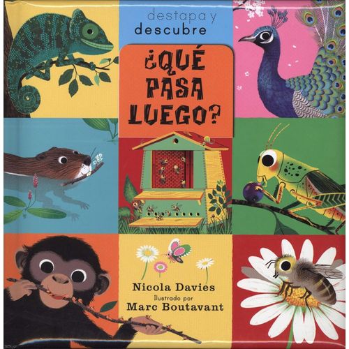 QUE PASA LUEGO? - DESTAPA Y DESCUBRE