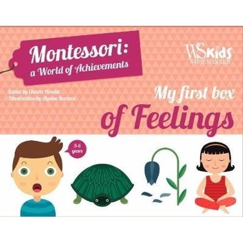 MY FIRST BOX OF FEELINGS - MONTESSORI A WORLD OF ACHIEVEMENT