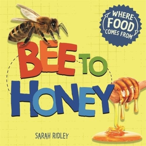 BEE TO HONEY - WHERE FOOD COMES FROM - SARAH RIDLEY