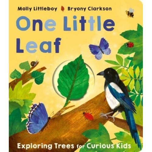 ONE LITTLE LEAF - MOLLY LITTLEBOY