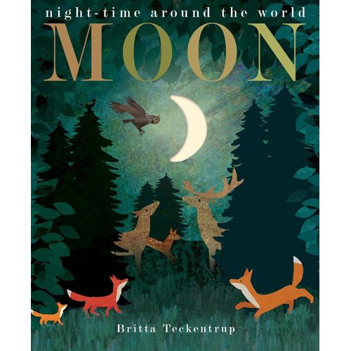 MOON - PATRICIA HEGARTY