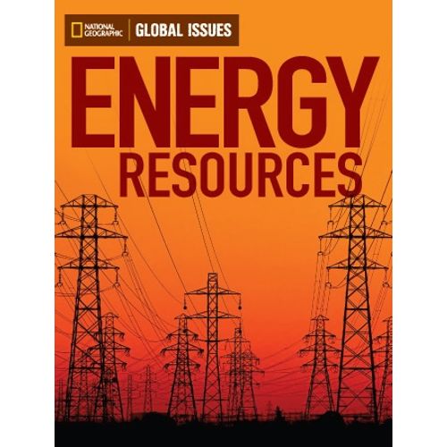 ENERGY RESOURCES - GLOBAL ISSUES (BELOW-LEVEL)