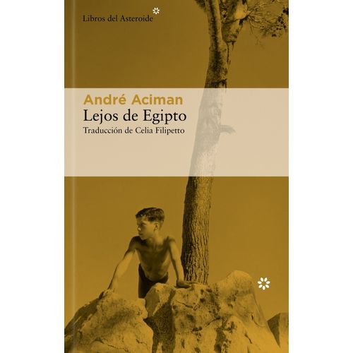 LEJOS DE EGIPTO - ANDRE ACIMAN