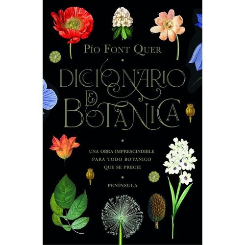 DICCIONARIO DE BOTANICA - PIO FONT QUER