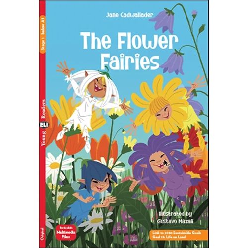 THE FLOWER FAIRIES - YOUNG HUB READERS 1 (BELOW A1)