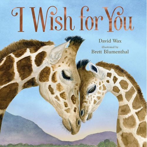 I WISH FOR YOU - DAVID WAX