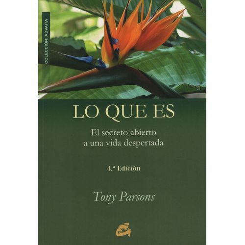 LIBRO LO QUE ES - TONY PARSONS - EL SECRETO ABIERTO A UNA VI