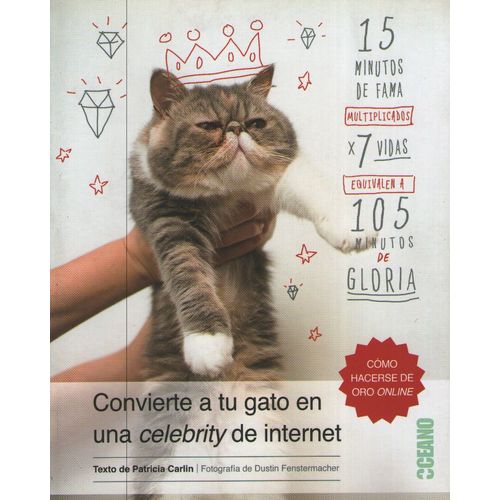 CONVIERTE A TU GATO EN UNA CELEBRITY DE INTERNET