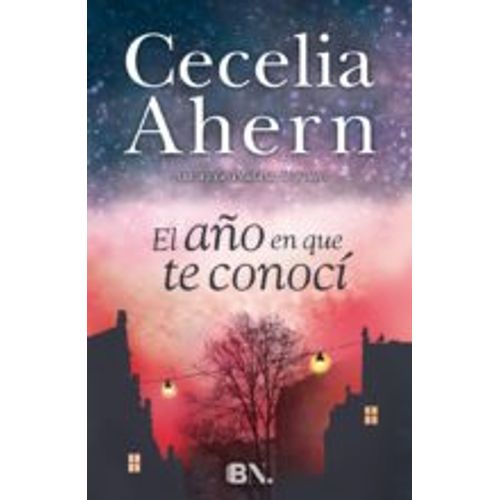 EL AÑO QUE TE CONOCÍ