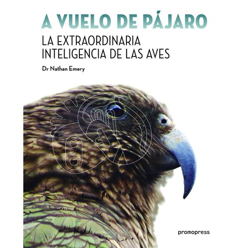A VUELO DE PAJARO - LA EXTRAORDINARIA INTELIGENCIA DE LAS AV