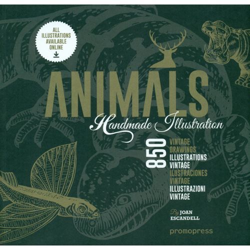 ANIMALS HANDMADE ILLUSTRATION - JOAN ESCANDELL TORRES