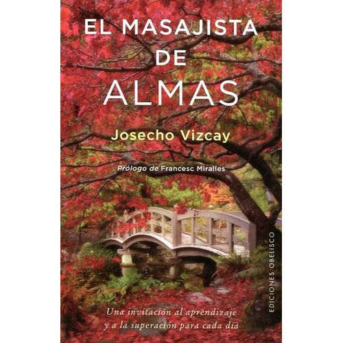 EL MASAJISTA DE ALMAS - JOSECHO VIZCAY