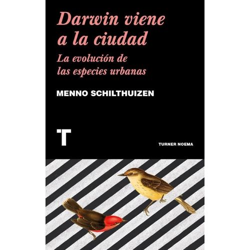 DARWIN VIENE A LA CIUDAD - MENNO SCHILTHUIZEN