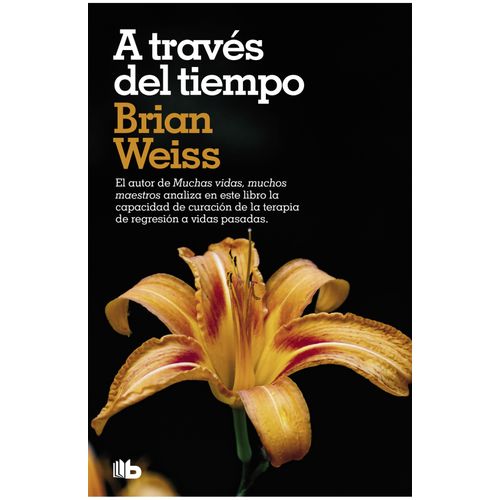 A TRAVES DEL TIEMPO - BRIAN WEISS