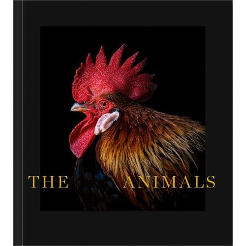 LIBRO THE ANIMALS - ESTELA DE CASTRO