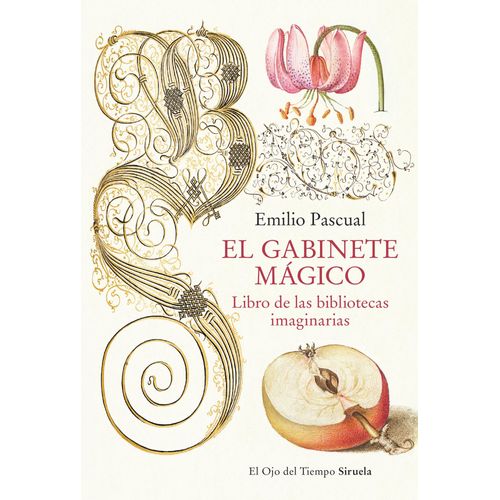 EL GABINETE MAGICO - EMILIO PASCUAL