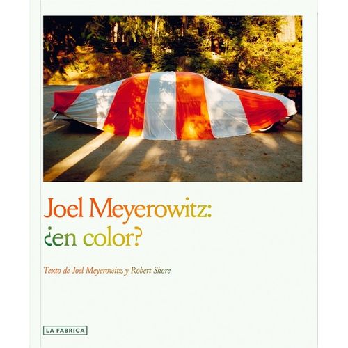 JOEL MEYEROWITZ: ¿EN COLOR?