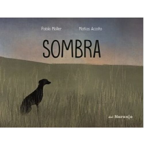 SOMBRA - UN GATO GRIS SOMBRA - UN GATO GRIS