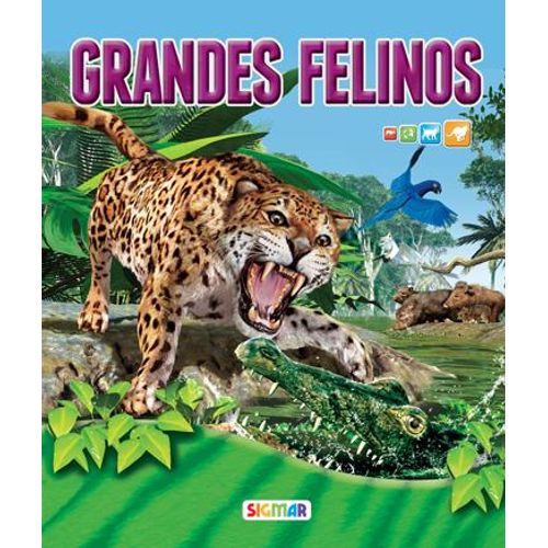GRANDES FELINOS - BAJO LA LUPA GRANDES FELINOS - BAJO LA LUPA