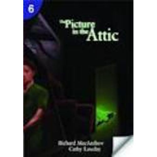 THE PICTURE IN THE ATTIC - PAGE TURNERS LEVEL 6 THE PICTURE IN THE ATTIC - PAGE TURNERS LEVEL 6