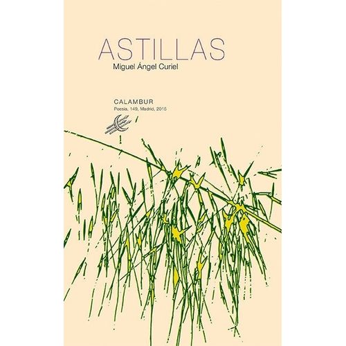 ASTILLAS - MIGUEL ANGEL CURIEL