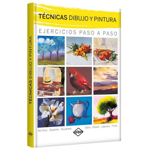 TECNICAS DIBUJO Y PINTURA TECNICAS DIBUJO Y PINTURA