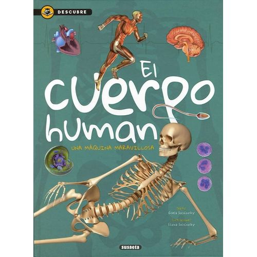 EL CUERPO  HUMANO - UNA MAQUINA MARAVILLOSA - DESCUBRE