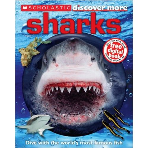 SHARKS - DISCOVER MORE