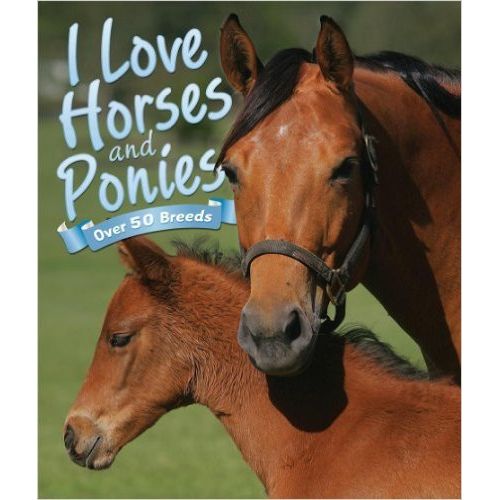 I LOVE HORSES AND PONIES