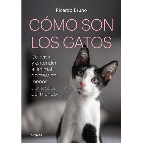 COMO SON LOS GATOS ?