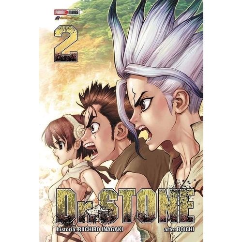 DR STONE 2 - RIICHIRO INAGAKI - BOICHI