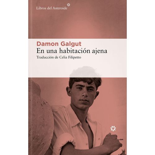 EN UNA HABITACION AJENA - TRES VIAJES - DAMON GALGUT