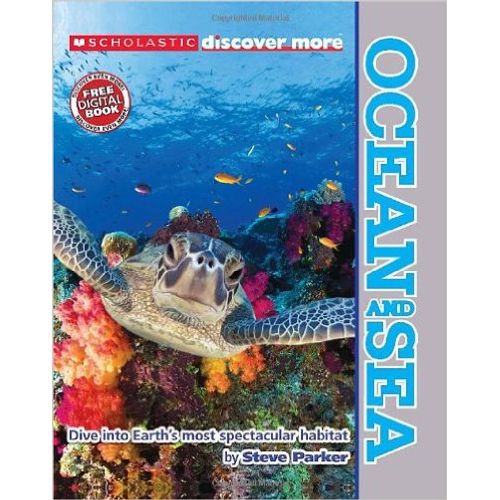 OCEAN AND SEA - DISCOVER MORE
