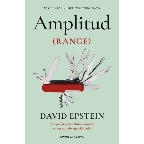 AMPLITUD - DAVID EPSTEIN