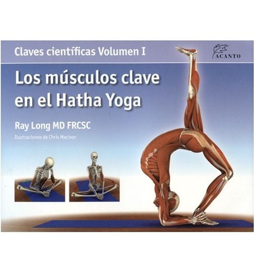 LOS MUSCULOS CLAVES EN EL HATHA YOGA VOL.1
