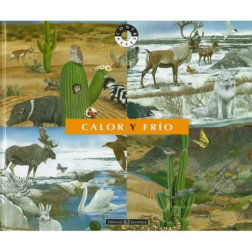 CALOR Y FRIO - CONTRASTES - CRISTIANO BERTOLUCCI