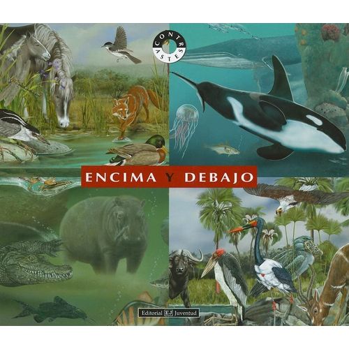 ENCIMA Y DEBAJO - CONTRASTES - CRISTIANO BERTOLUCCI