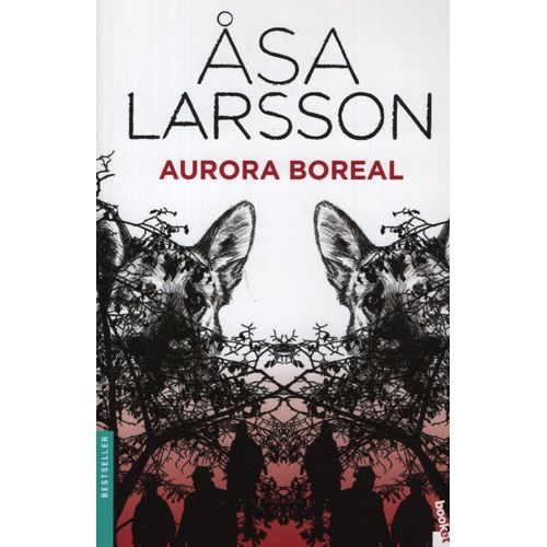 AURORA BOREAL AURORA BOREAL