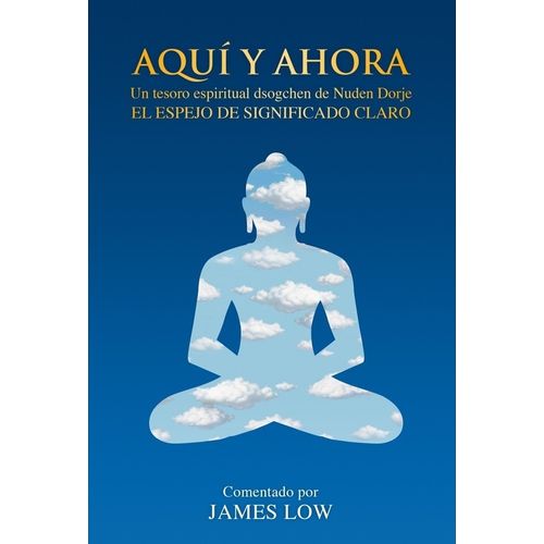 AQUI Y AHORA - UN TESORO ESPIRITUAL DSOGEHEN DE NUDEN DORJE