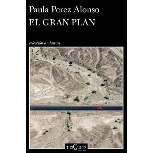 EL GRAN PLAN - PAULA PEREZ ALONSO